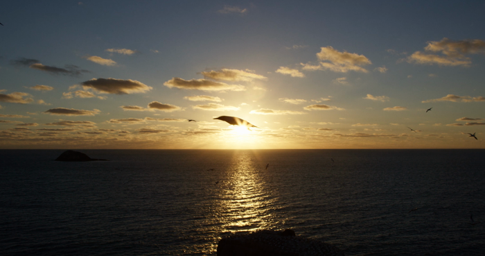 01 - H264 - BTS REDirect Surf.mp4